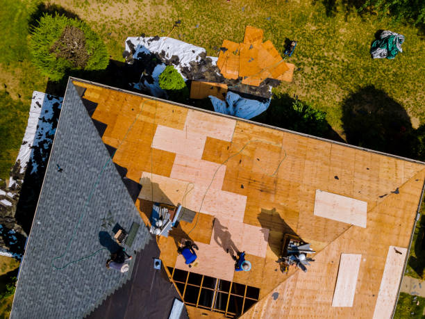 Best Roof Gutter Cleaning  in New Baltimore, MI