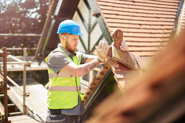 Best Local Roofing Companies  in New Baltimore, MI